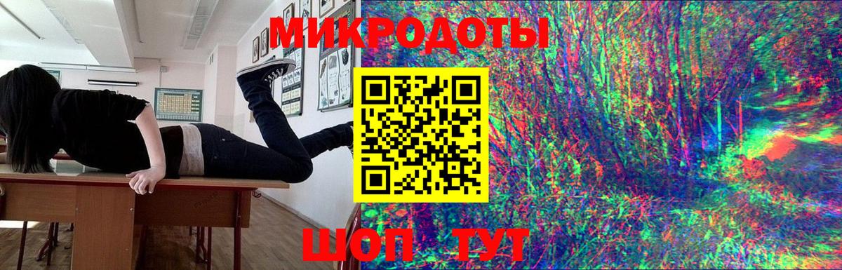 Псилоцибиновые грибы Psilocybe Избербаш